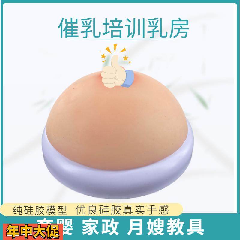 医院母乳喂养指导教具娃娃模型假胸假乳房模型准妈妈产前练习宣传,玩具/童车/益智/积木/模型,其他模型玩具,淘宝优惠券,粉丝福利购,淘宝优惠卷