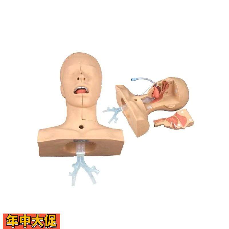 高级吸痰练习模型鼻腔口腔插管吸引训练模型医学用操作教学模型,文具电教/文化用品/商务用品,模拟人,淘宝优惠券,粉丝福利购,淘宝优惠卷