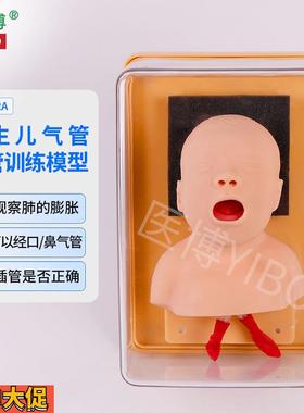医博BIX-J3A儿童气管插管训练模型婴儿儿童成人气管插管模型教学