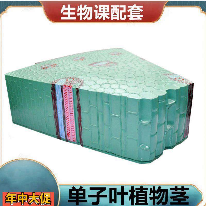 单子叶植物茎模型双子叶桃花小麦花植物根尖芽结构胚发育过程,玩具/童车/益智/积木/模型,其他模型玩具,淘宝优惠券,粉丝福利购,淘宝优惠卷