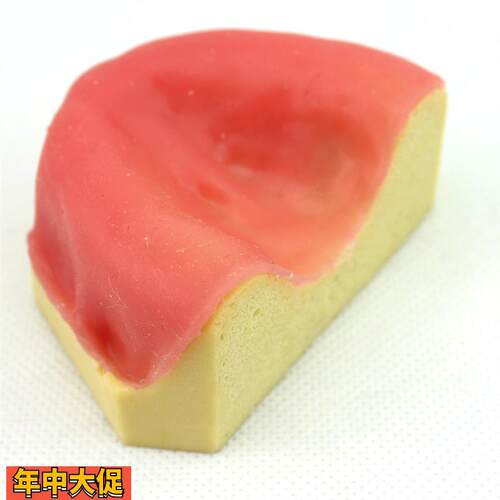 ENOVO颐诺口腔即刻种植模型仿真下颌骨附牙龈模型种植牙训练培训