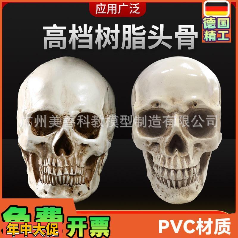 高仿真人头骨模型树脂骷髅头艺术美术临摹专用标本人体头颅模型