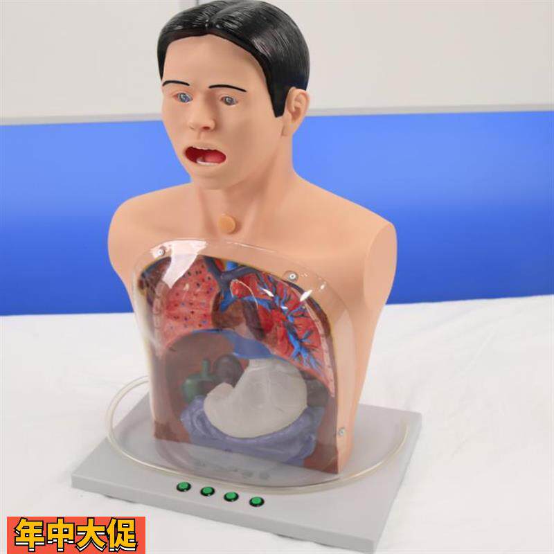 人体洗胃模型带警示透明洗胃机制模型胃肠减压训练人体模型医用