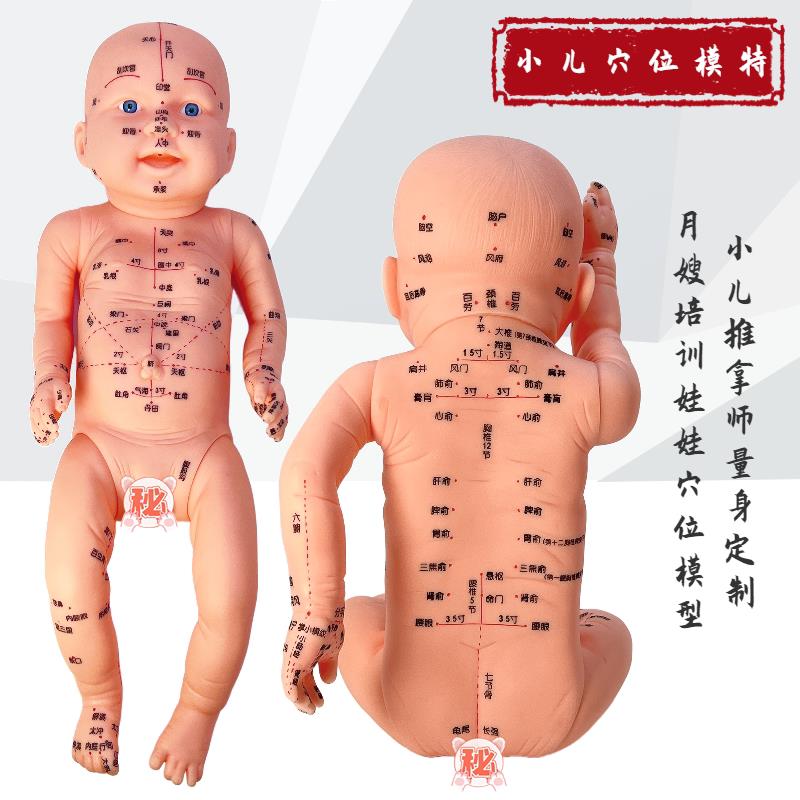 全身穴位娃娃经络图中医小儿推拿按摩书教学保健月嫂培训宝宝模型