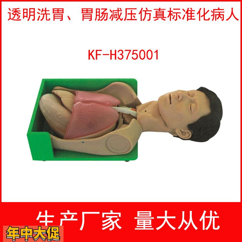 透明洗胃胃肠减压仿真标准化病人透明洗胃模型护理技能训练