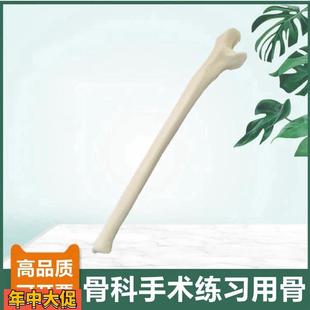 尺骨模型仿真骨手术技能考试骨科医生用钻孔骨质密度桡骨人体四肢