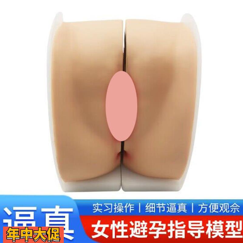 避孕指导模型女性上环训练模型女性节育计生模型计生教育教具