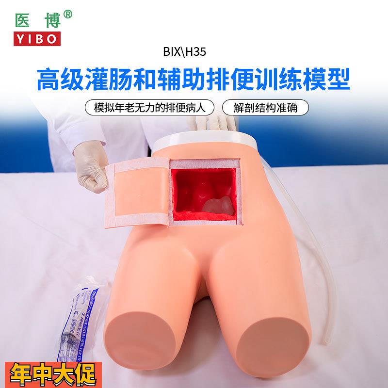 医博BIX-H35高级灌肠模型辅助排便和及灌肠训练习模型医学用灌肠