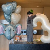 PanParty3D立体大象卡通动物铝膜气球宝宝生日装 饰派对场景布置