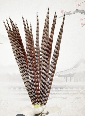 戏曲长翎子翎毛佾舞手羽