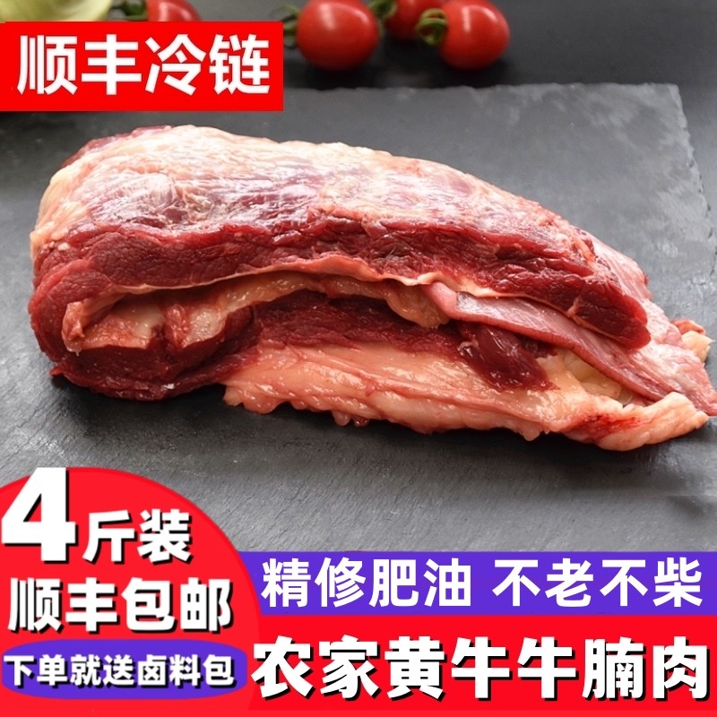 4斤装 新鲜牛腩肉农家草饲放养土黄牛肉五花肉现杀牛腹肉牛肚腩肉