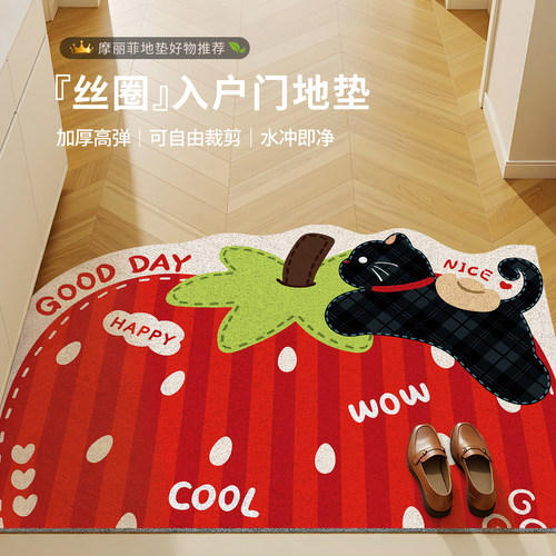 入户丝圈防滑耐脏可裁剪门垫