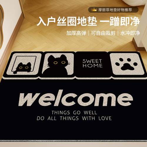 卡通入户门家用丝圈地垫