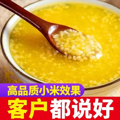 黄小米高品质米油醇厚月子米宝妈