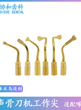 牙科骨刀机超声刀头骨刀工作尖骨刀机适配迈创啄木鸟USUC系列通用