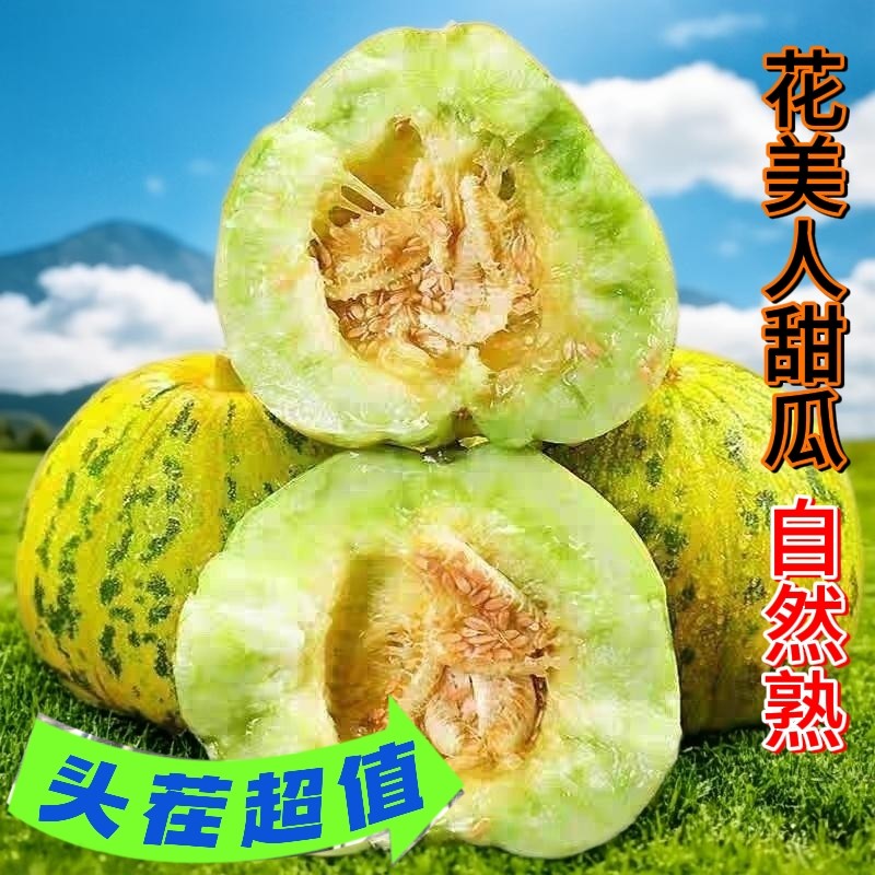 头茬花美人甜瓜八里香蜜瓜脆甜孕妇水果花姑娘山东花皮蜜罐香瓜