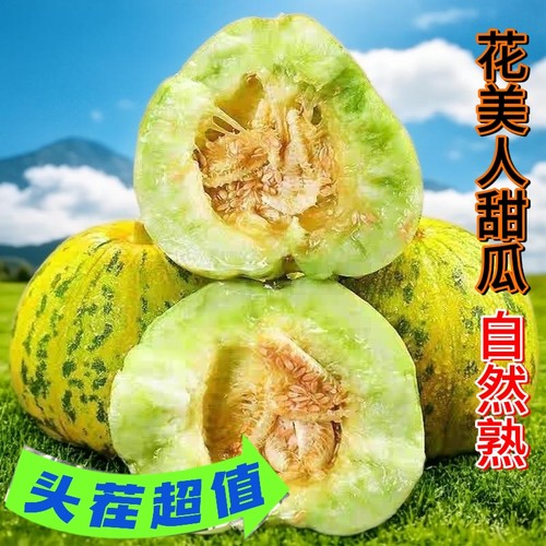 头茬花美人甜瓜八里香蜜瓜脆甜孕妇水果花姑娘山东花皮蜜罐香瓜