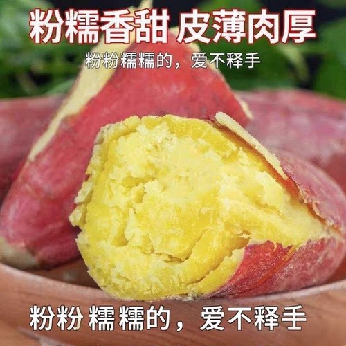 正宗陕西沙地板栗红薯当季黄心干粉面红苕蜜薯烤地瓜临潼板栗红薯