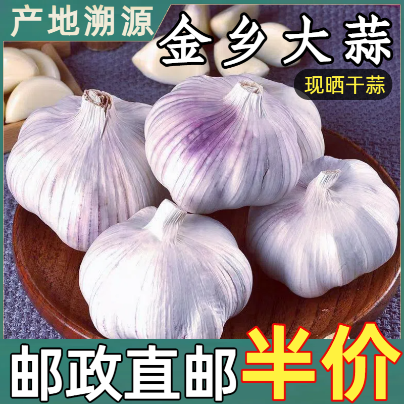 【万人抢购】山东新蒜新干大蒜新鲜大蒜头批发紫皮白皮大蒜批发