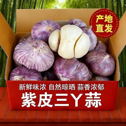 紫皮三瓣蒜三丫蒜新蒜