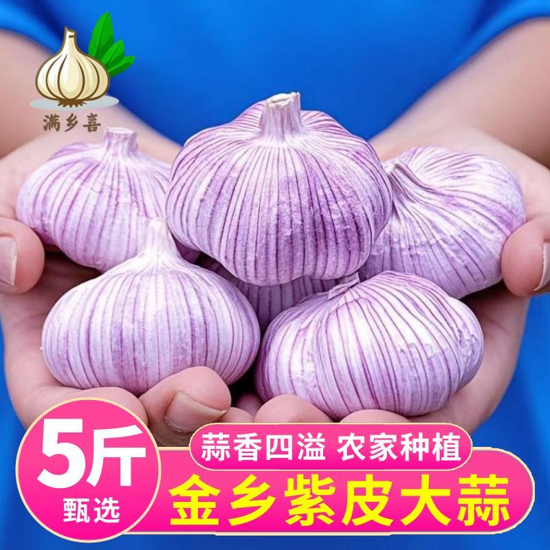 回购大蒜头每购大蒜头批发价