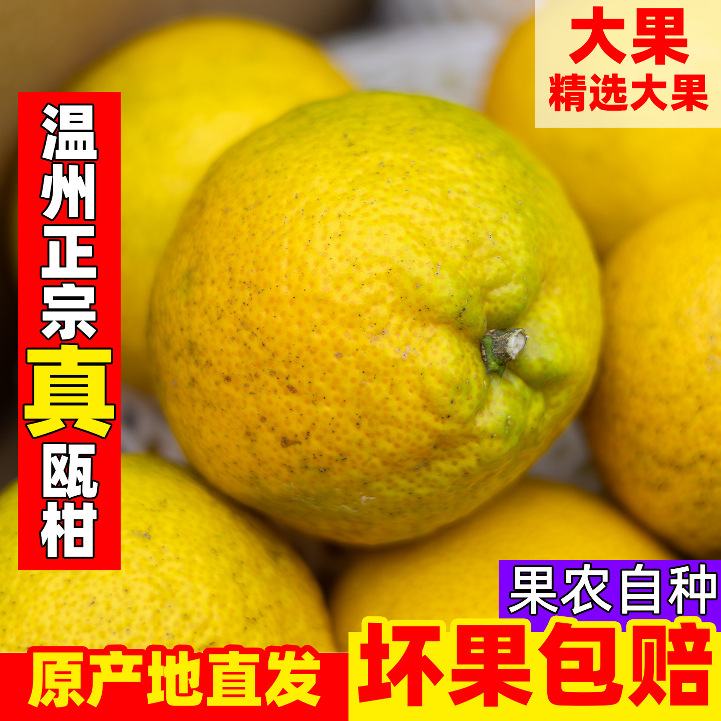 温州瓯柑5斤装大果 地方特产苦柑农家新鲜水果礼盒橙降火正宗瓯柑,水产肉类/新鲜蔬果/熟食,桔子,淘宝优惠券,粉丝福利购,淘宝优惠卷
