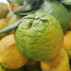 温州瓯柑5斤 正宗特产苦柑苦桔子农家应季新鲜水果橙降火欧柑10斤