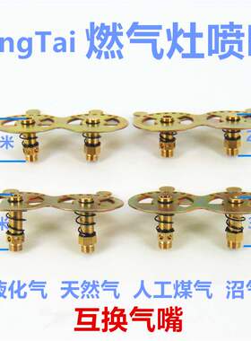 适合方太燃气灶TH33B/HT8BES等喷嘴液化气天然气人工煤气沼气嘴