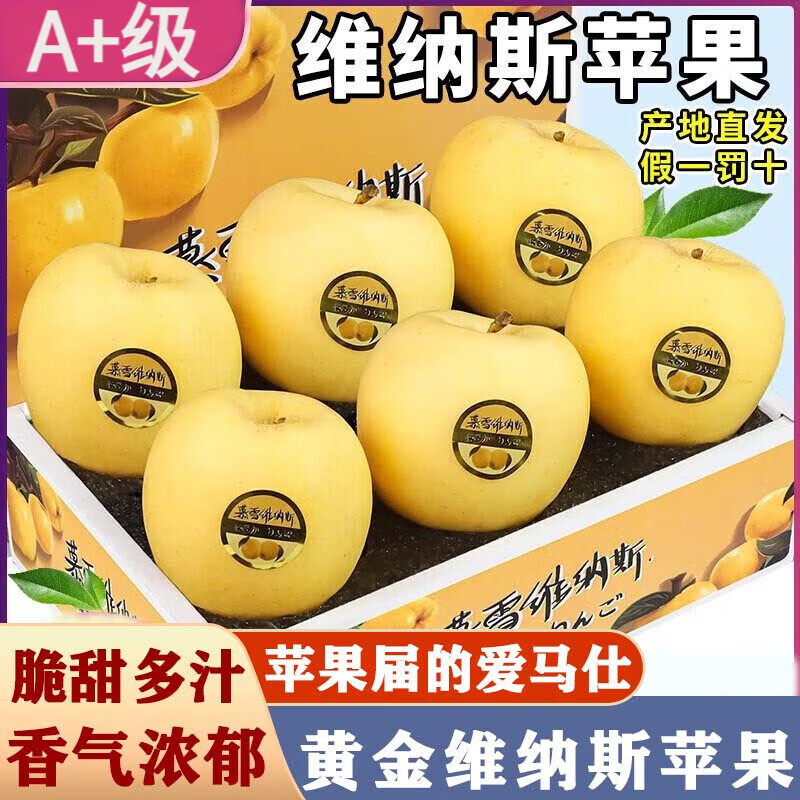 正宗黄金维纳斯苹果新鲜脆甜苹果黄金苹果水果烟台脆香甜富士苹果