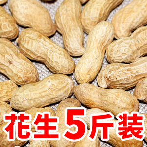 山东熟花生5斤10斤装五香带壳水煮原味带壳炒货零食散装批发新货