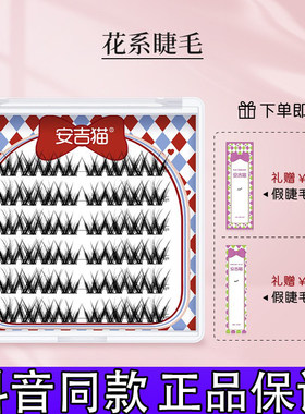 安吉猫花系睫毛蓬松大花