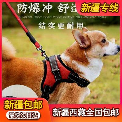 新疆西藏包邮狗狗牵引绳背心式胸背带中型大型犬遛狗遛狗牵引绳狗