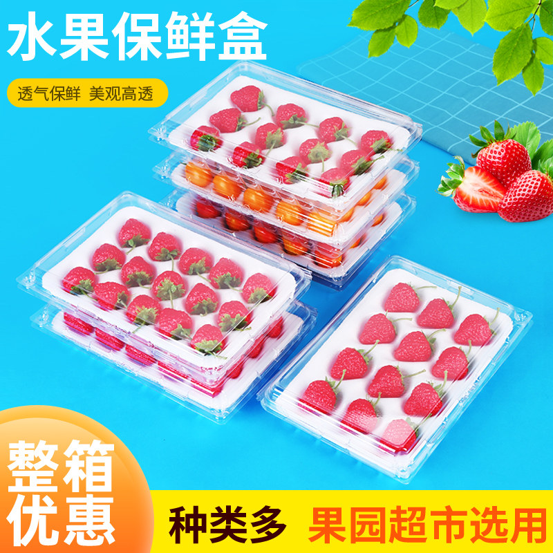 高档草莓盒子12粒15粒20粒带泡沫托一次性透明塑料水果草莓包装盒