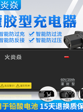 雅迪灌胶防水型适用电动车充电器防水48V60V72VY孔三圆针通用