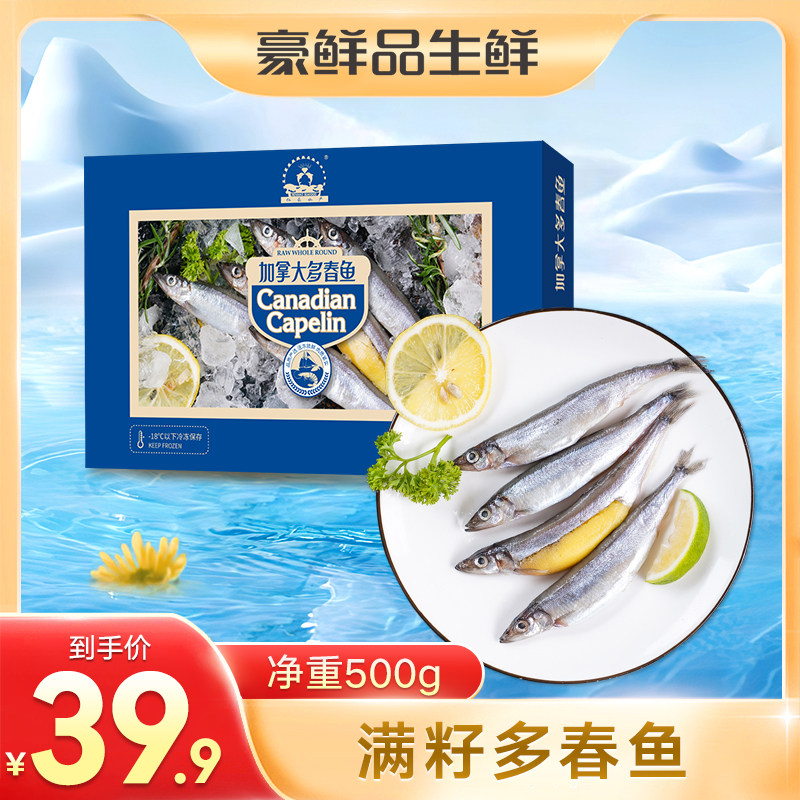 多春鱼加拿大进口满籽烧烤食材满籽胡瓜鱼冰鲜大号