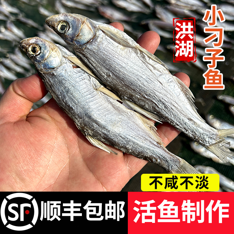 洪湖阳干小刁子鱼风干新鲜刁子鱼湖北特产晒干水产干货淡水小鱼干