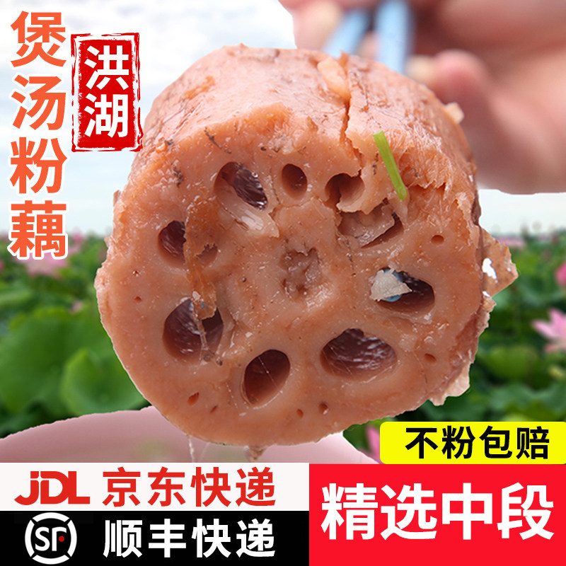 正宗洪湖莲藕新鲜煲汤粉藕现挖湖藕面藕红藕湖北特产泥藕蔬菜5斤