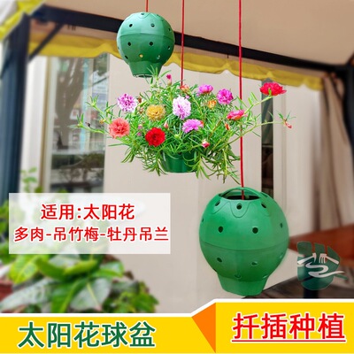 多孔种植可悬挂造型花球