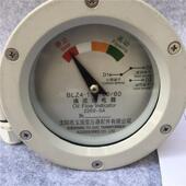 BLZ4 100变压器流量指示器油流继 厂家直销BLZ4