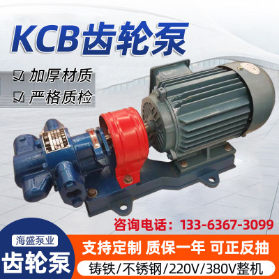 kcb齿轮泵小型高粘度齿轮泵泵头大流量配件液压油泵抽油自吸380V