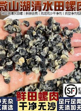 中号精选清水田螺肉去壳净肉商用