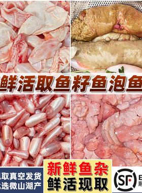顺丰新鲜鱼杂鱼籽鱼泡鱼白鲤鱼活取鱼宝鱼肚鱼子鱼鳔鱼肠商用现货