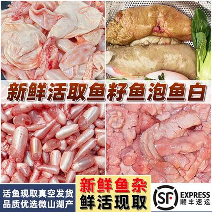 新鲜鲤鱼鱼杂活鱼现取鱼籽鱼泡鱼白鲤鱼鱼宝鱼肚鱼子鱼肠商用顺丰