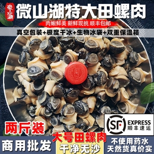 2斤装特大号田螺肉新鲜螺丝肉螺蛳肉餐厅商用批发去壳净肉发顺丰