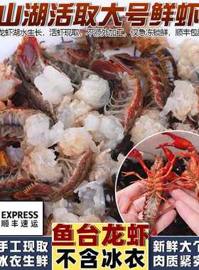 大号新鲜生冻小龙虾尾生虾尾顺丰