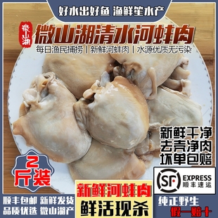 微山湖新鲜大河蚌净肉淡水河蚌去壳净肉河漂肉边丝2斤装商用顺丰