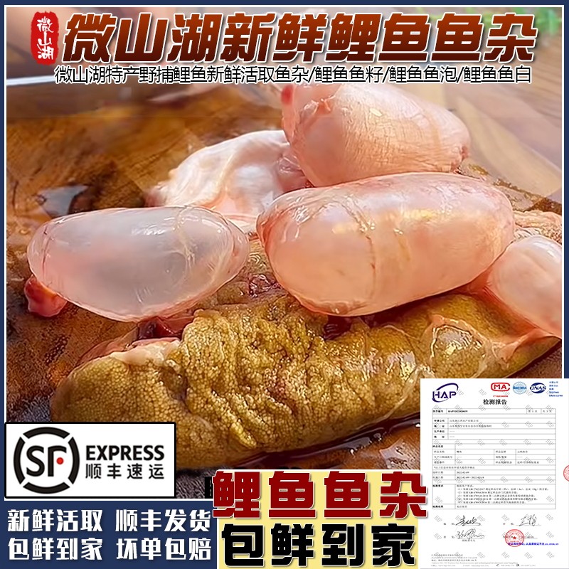 微山湖大鲤鱼鱼杂新鲜活取鱼籽鱼泡鱼白鱼子鱼鳔鱼蛋鱼肚鱼肠商用