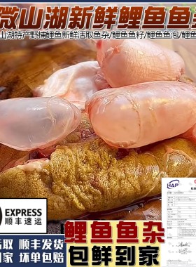 微山湖鲤鱼现取鱼杂鱼籽鱼泡鱼白