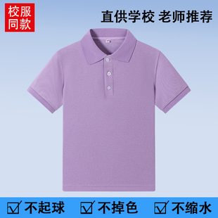 夏季 男女童紫色纯色汗衫 中小学生校服T恤衫 短袖 儿童POLO衫 t恤夏装