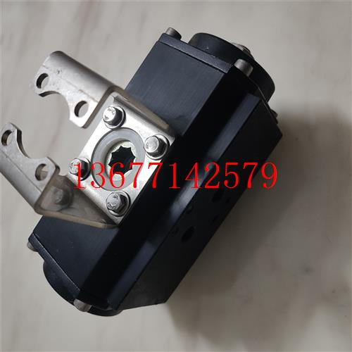 议价利乐TSR3F012STDS-TYPE METRIC气动执行器 角度阀门机构